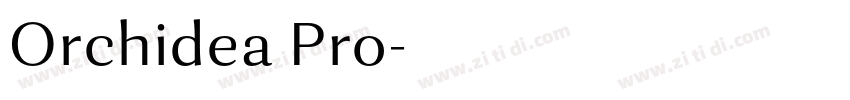 Orchidea Pro字体转换